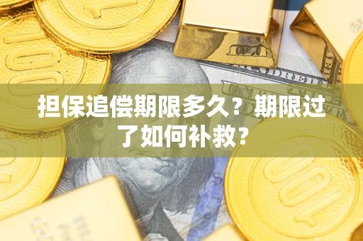 北京担保追偿期限多久？期限过了如何补救？