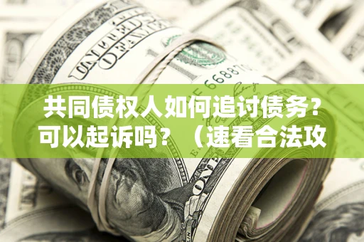 北京共同债权人如何追讨债务？可以起诉吗？（速看合法攻略）